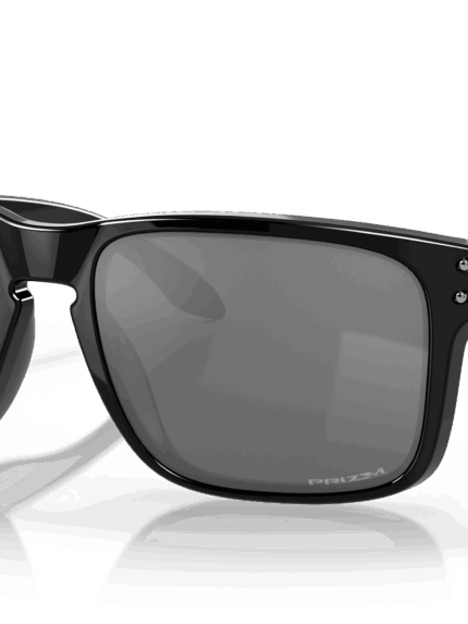 Classic Sunglasses S1