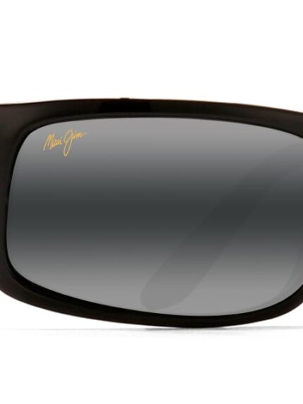 Polarized Sunglasses P1